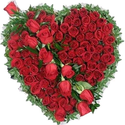 Sympathy - Heartfelt Condolences - standard