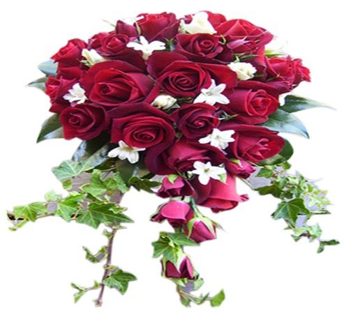 Bouquets - True Love - standard