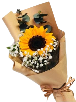 Single Stalk Sunflower